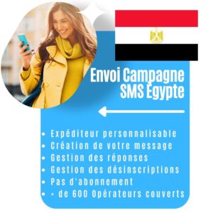 Envoi Campagne Sms Égypte