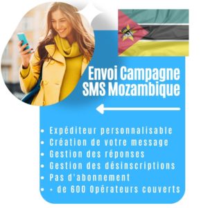 Envoi Campagne Sms Mozambique