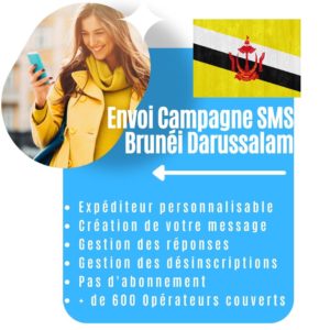 Envoi Campagne Sms Brunéi Darussalam