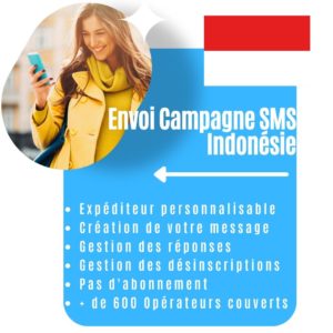 Envoi Campagne Sms Indonésie