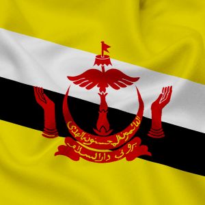 Envoyer Campagne SMS Brunéi Darussalam